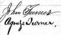 John Turner and Agnes Nicholson signatures 1881