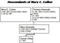Mary Cullen family tree chart